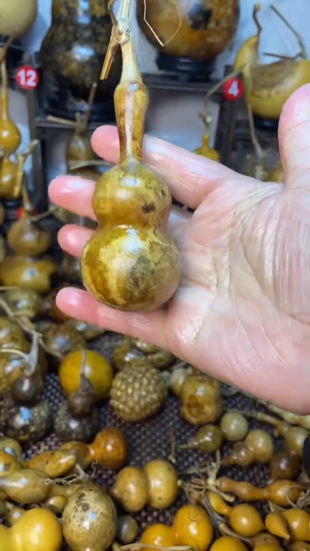 【闪购商品】葫芦葫芦葫芦葫芦葫芦