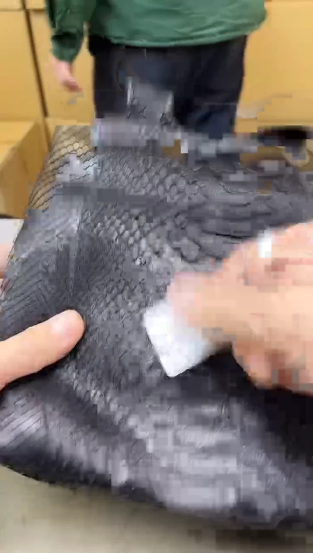 瓷片869聚宝缘海陶精选
