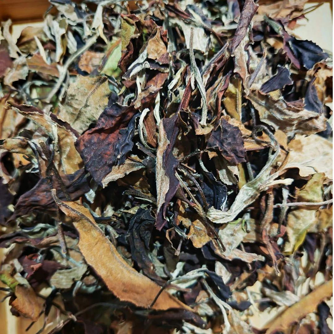 源之茗茶业   22年古白茶100克