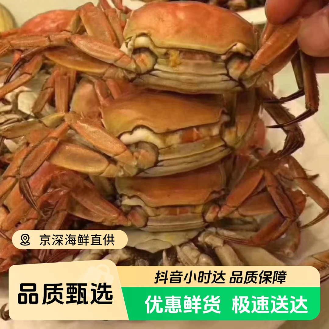 固城湖(共10只母蟹)/份，红膏精品大闸蟹母蟹，规格1.5-1.8两/只