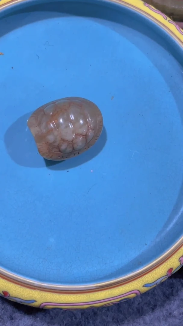 【闪购商品】瓷片手工，手绘，瓷器