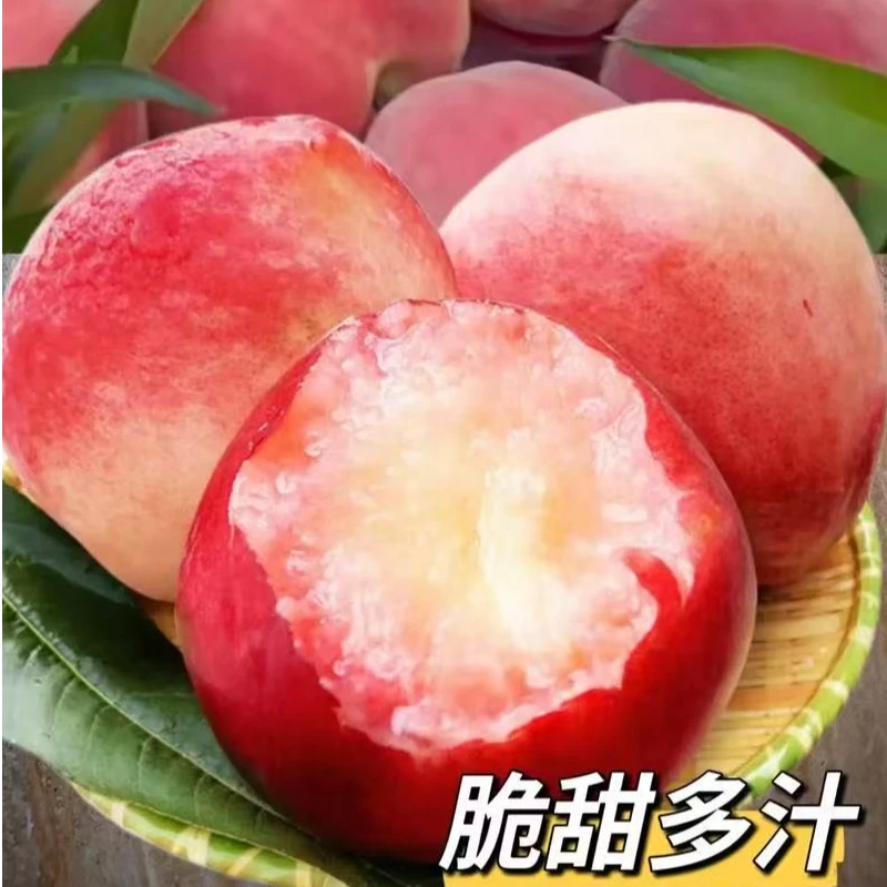 太行山上自家种植水蜜桃脆甜多汁（京东包邮）