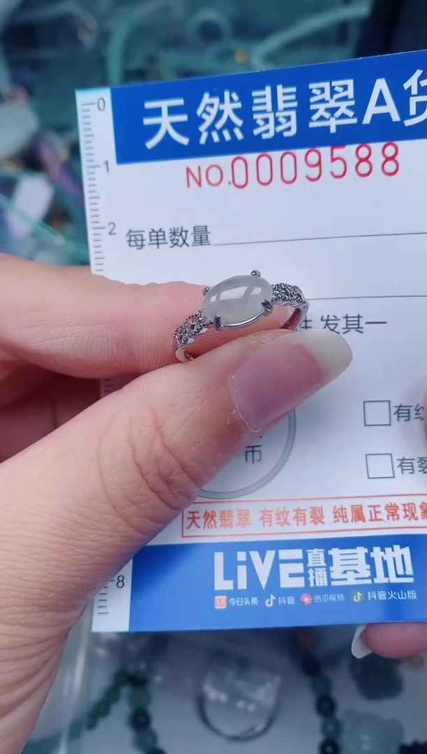 颈饰未镶嵌翡翠00009588