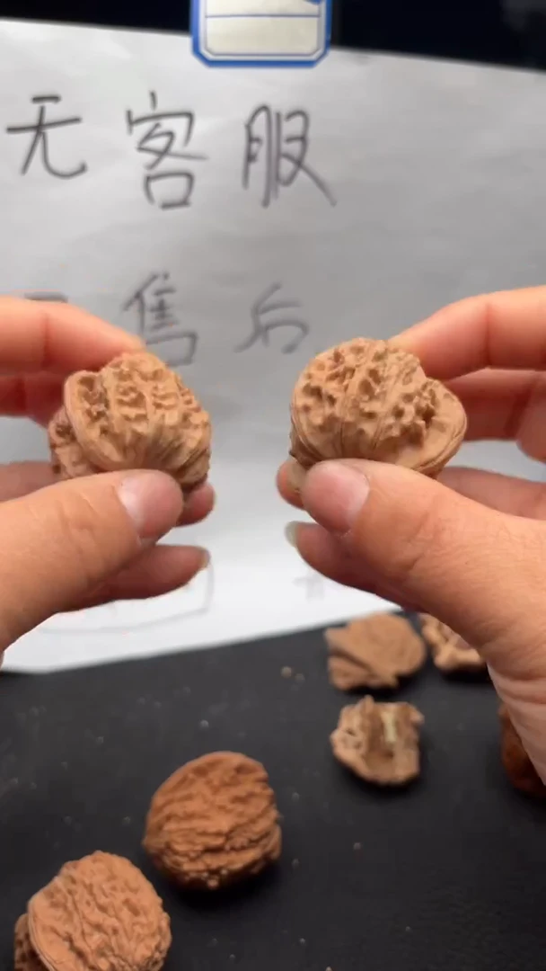 把件文玩核桃500白狮子