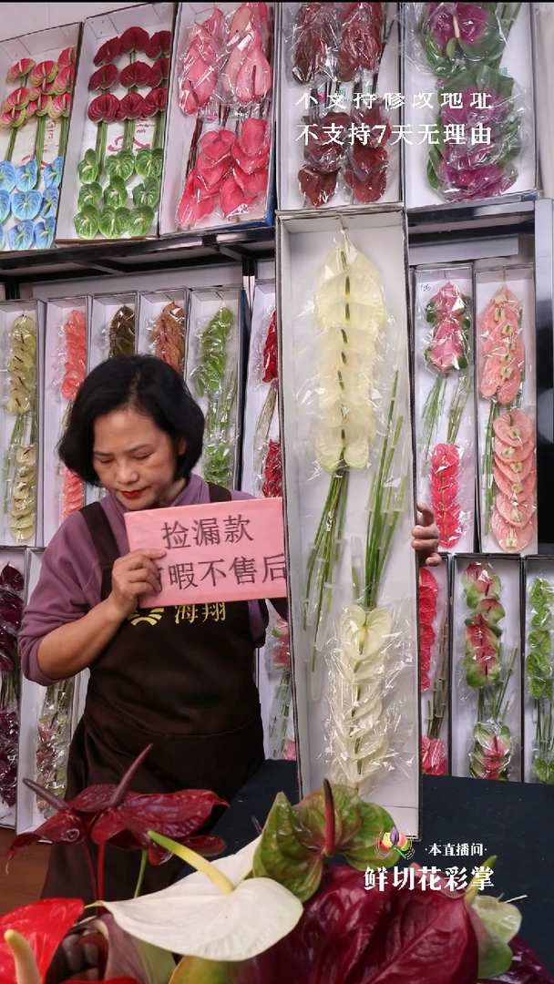 完全开放白掌16枝(长25-30cm横冠幅7-10cm有瑕福利不退不换不售后