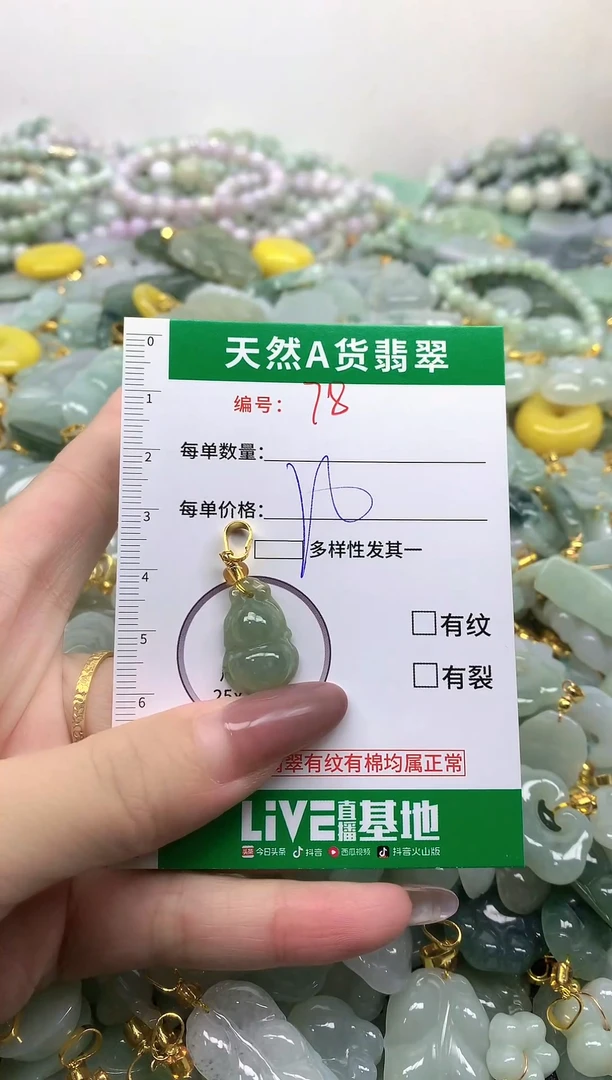 颈饰未镶嵌翡翠纯天然缅甸A货翡翠-78