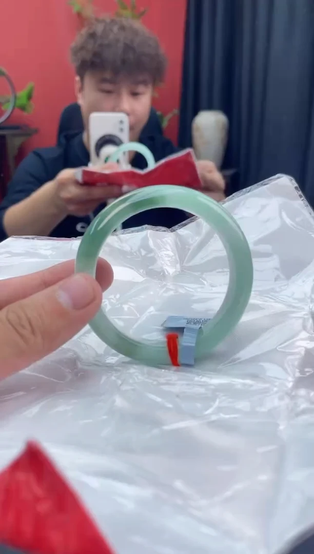 未镶嵌手镯翡翠9