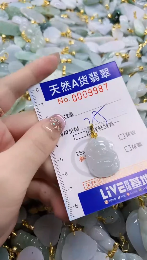 颈饰未镶嵌翡翠天然A货翡翠