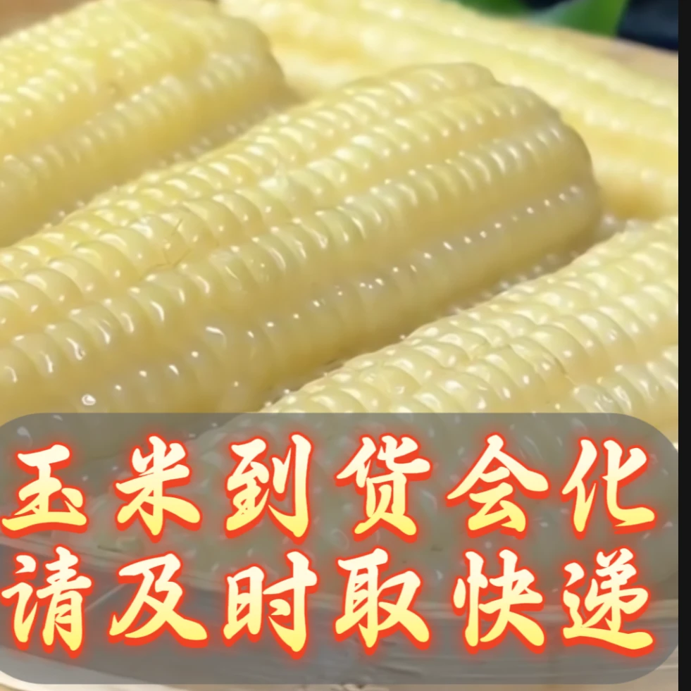 【可试吃两个】速冻甜糯玉米（8只装）冷冻保存东北糯玉米甜糯玉米