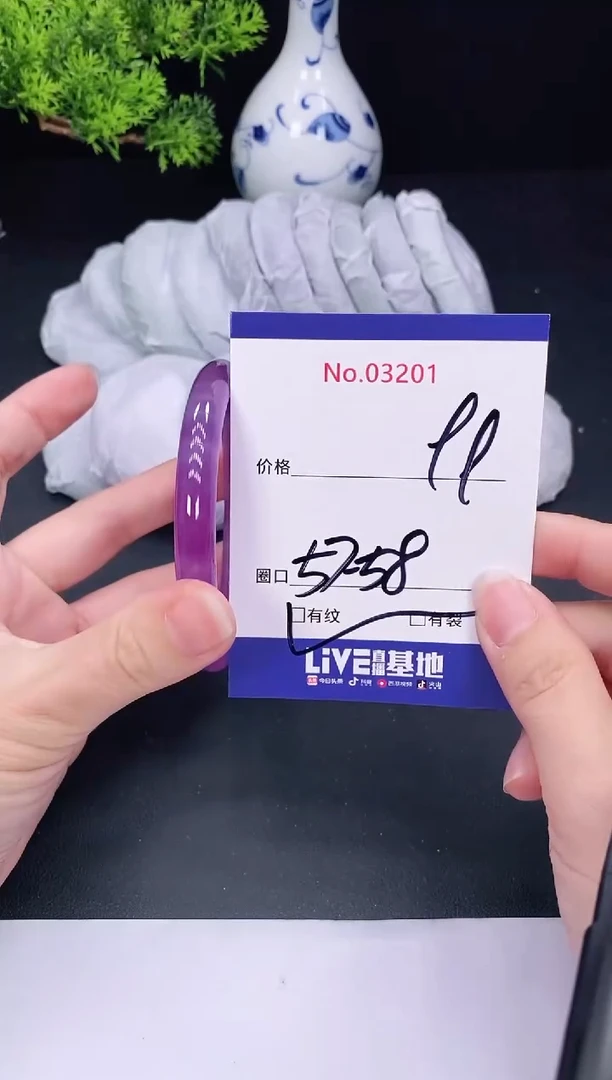 未镶嵌手镯翡翠3201