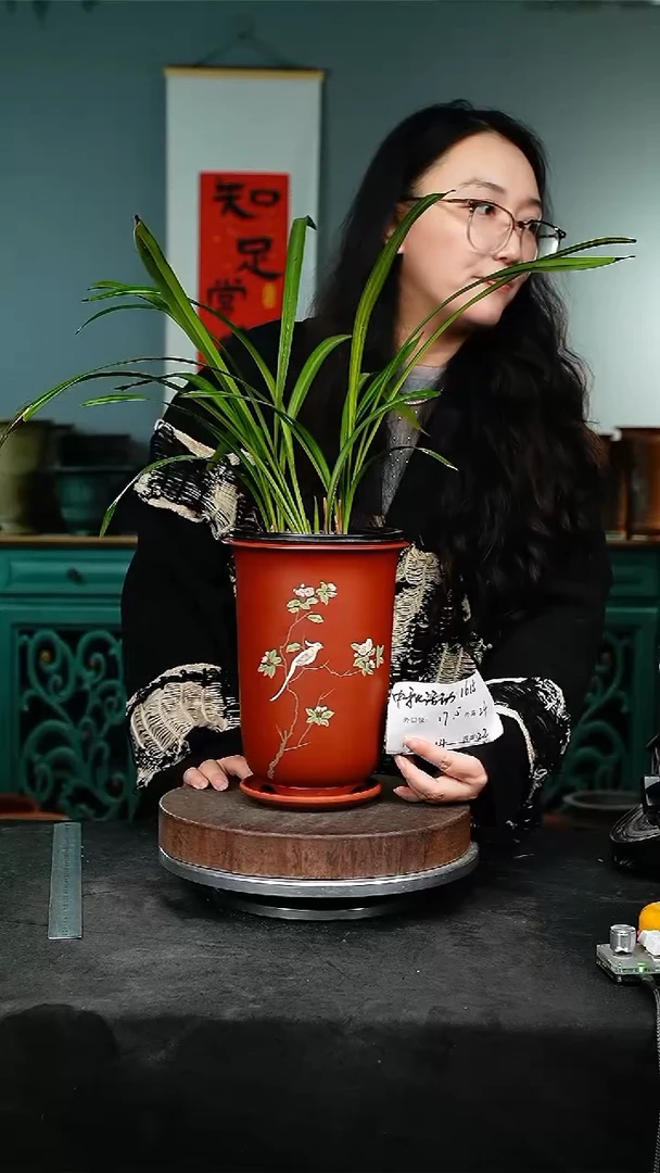 紫砂花盆1615+z紫砂花盆
