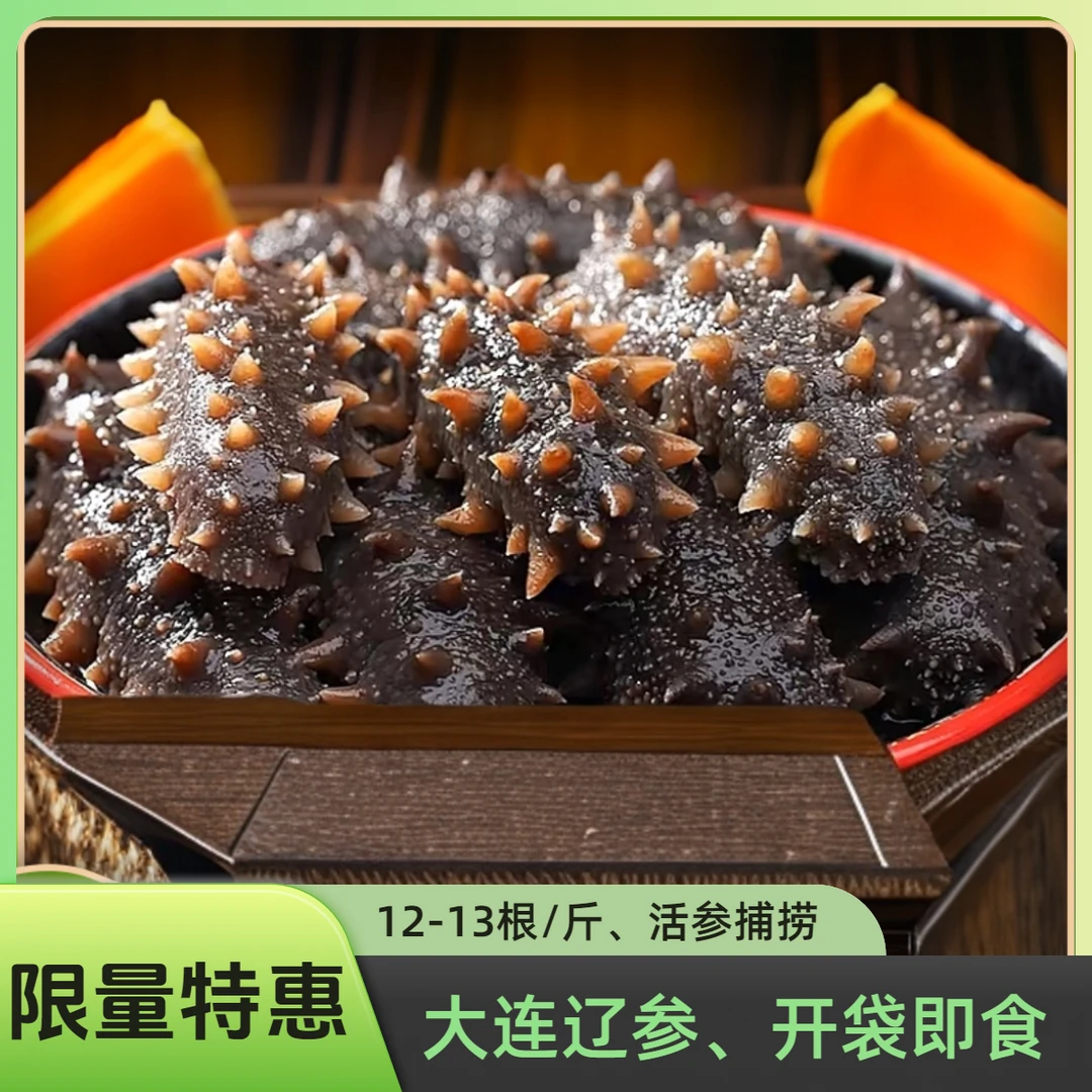12-13根/斤【春季限量特惠】大连滋补即食海参辽参冷蒸大连直发