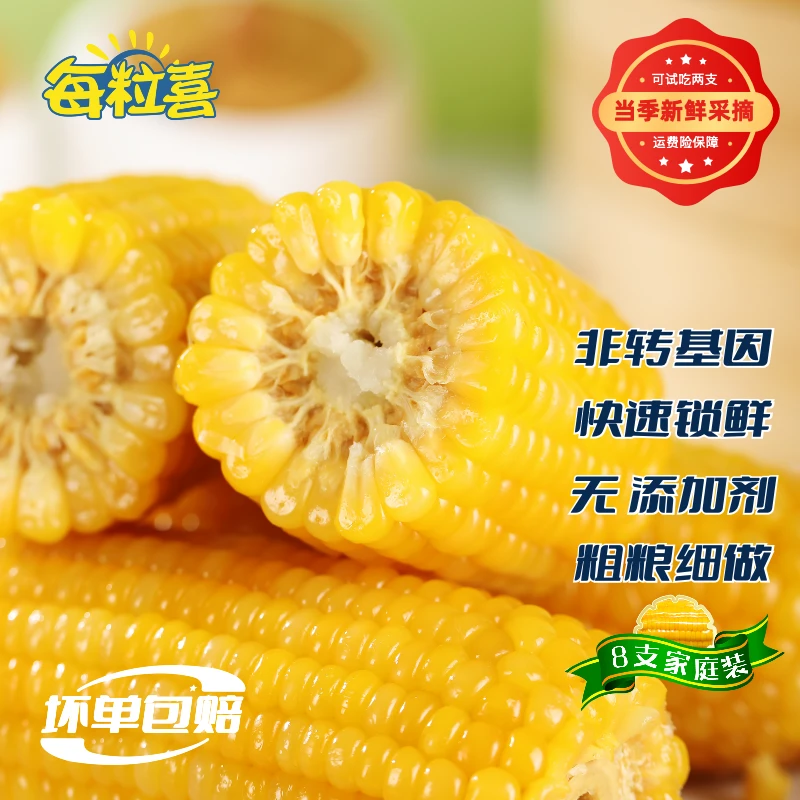 【试吃2支】老马专属专属内蒙古沙土地黄糯玉米