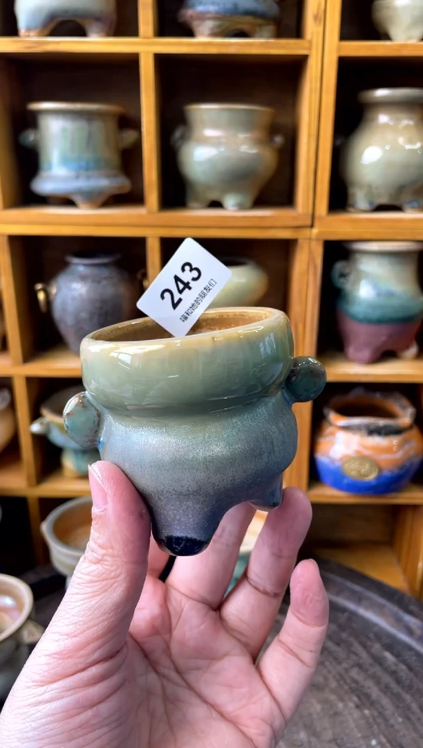 243【多肉花盆多肉盆】