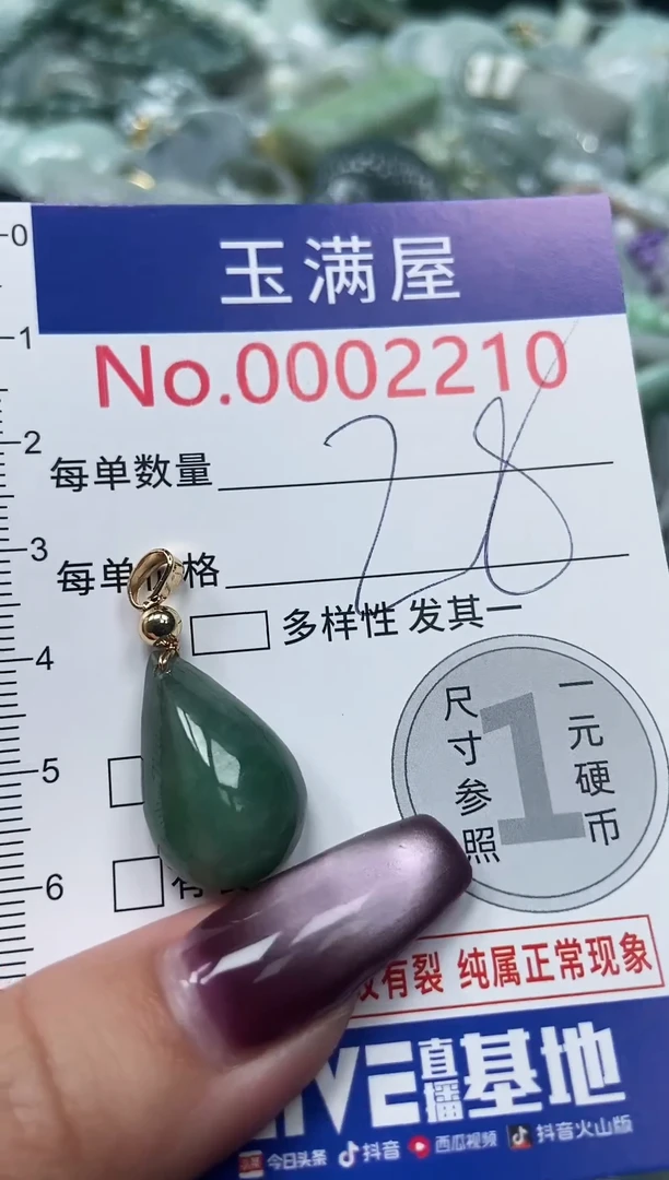 颈饰未镶嵌翡翠2210