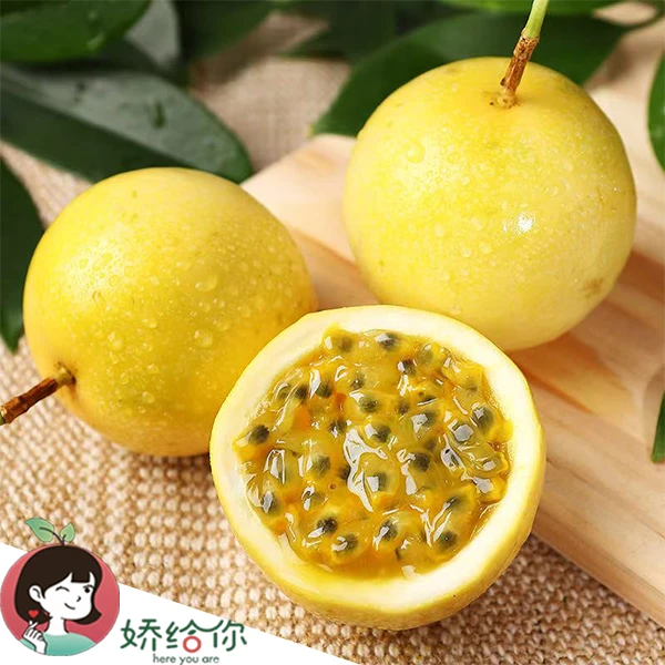 【顺丰包邮】当季精选钦蜜9号黄金百香果礼盒装约1.8-3.6斤左右