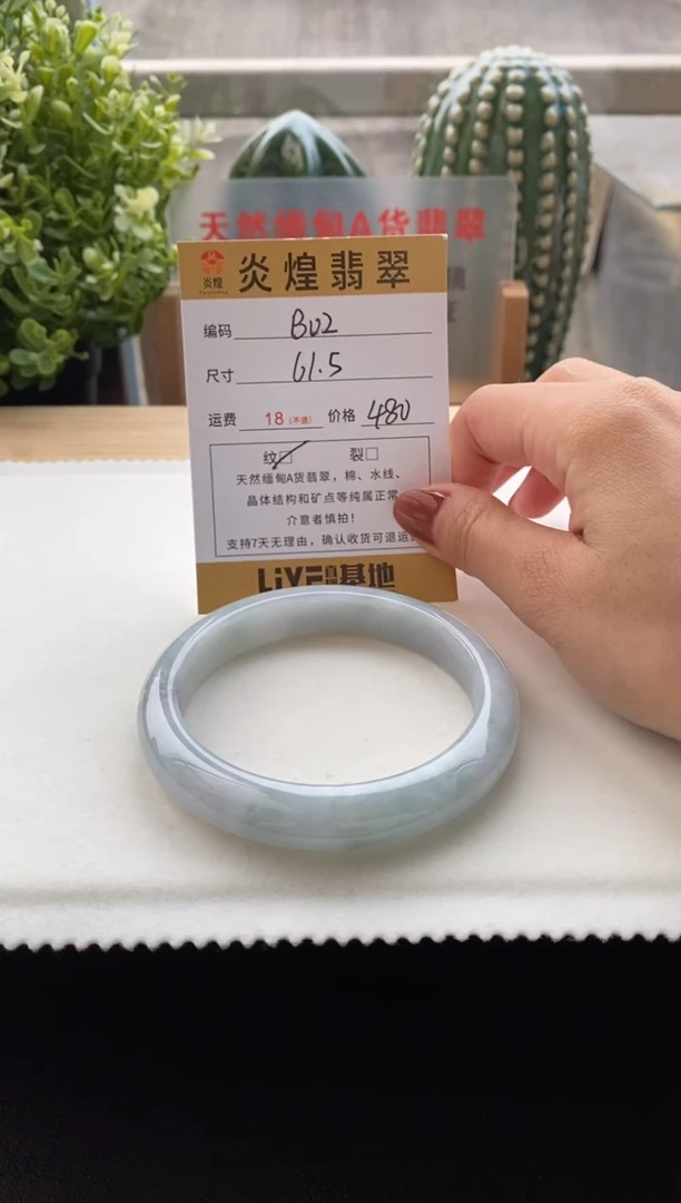 未镶嵌手镯翡翠61.6圈口 编码B02