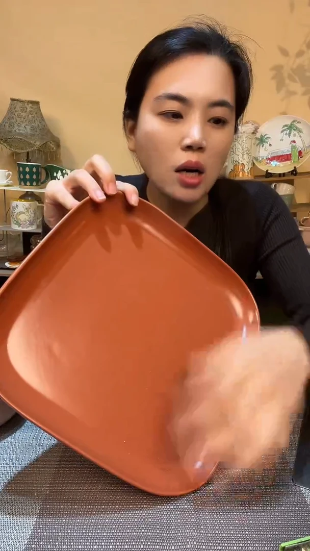 瓷片10.5英寸方盘 微瑕介意勿拍