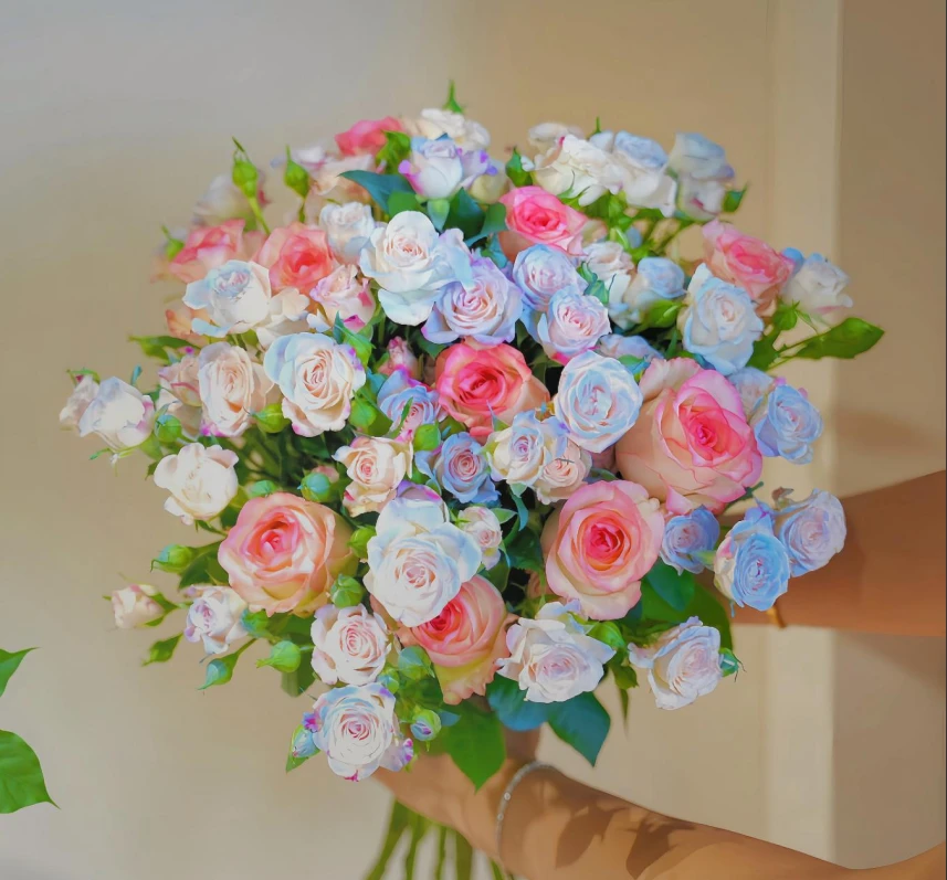 【爱莎+碎冰蓝折射】云南鲜花家用鲜花一单普快任2单花发顺丰/空运