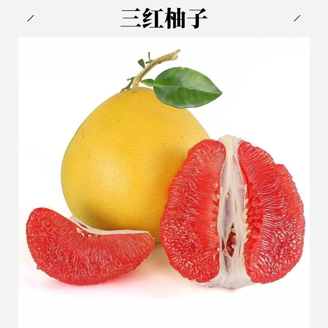 三红柚 4斤/个