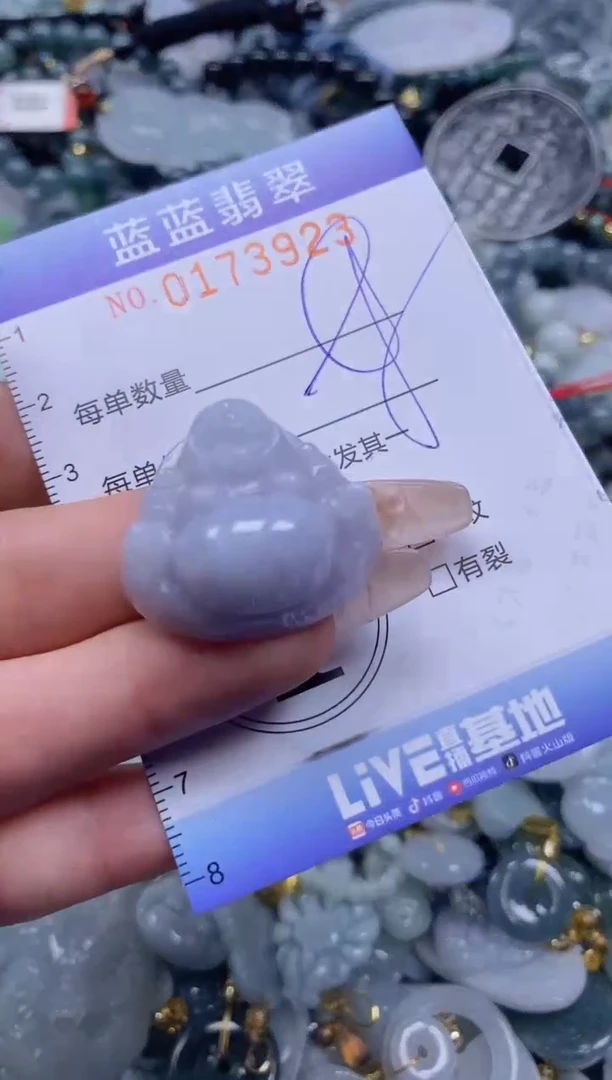 【闪购商品】翡翠颈饰未镶嵌闪购0173923