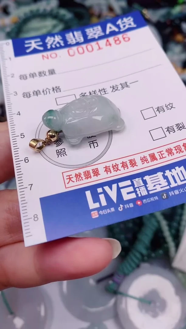 颈饰未镶嵌翡翠00001486