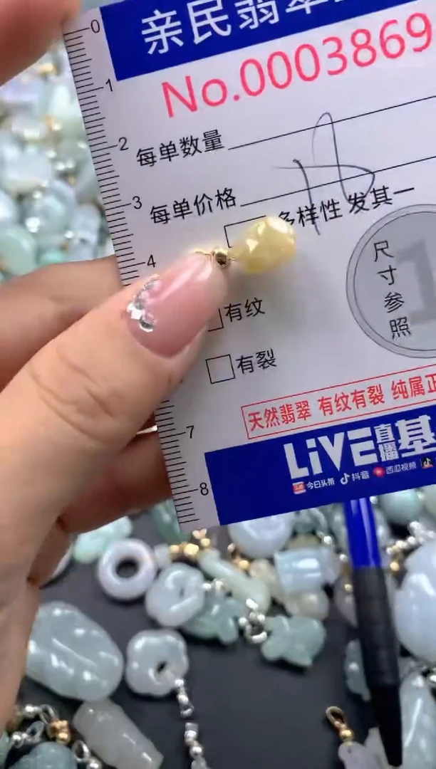 颈饰未镶嵌翡翠3869