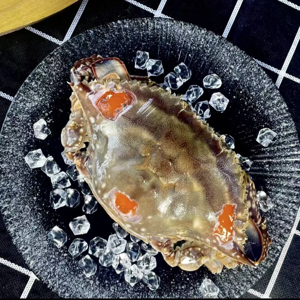 【年货节精品大蟹】舟山精品红膏呛蟹4两左右/只 开袋即食