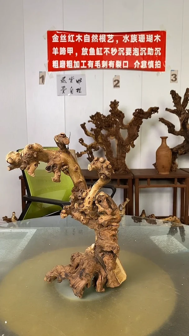 香榧木从**北金丝红木 羊蹄甲