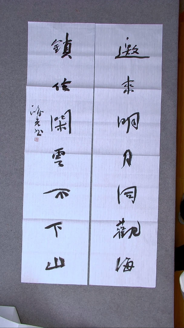 书法郭鸿光银川八平尺138*34*2