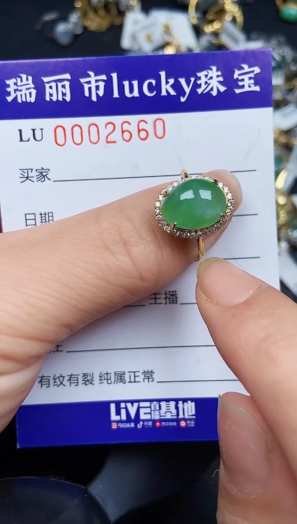 翡翠银S925镶嵌颈饰2660