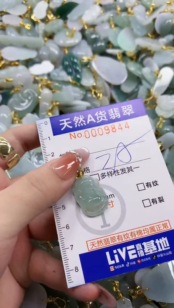 颈饰未镶嵌翡翠天然A货翡翠