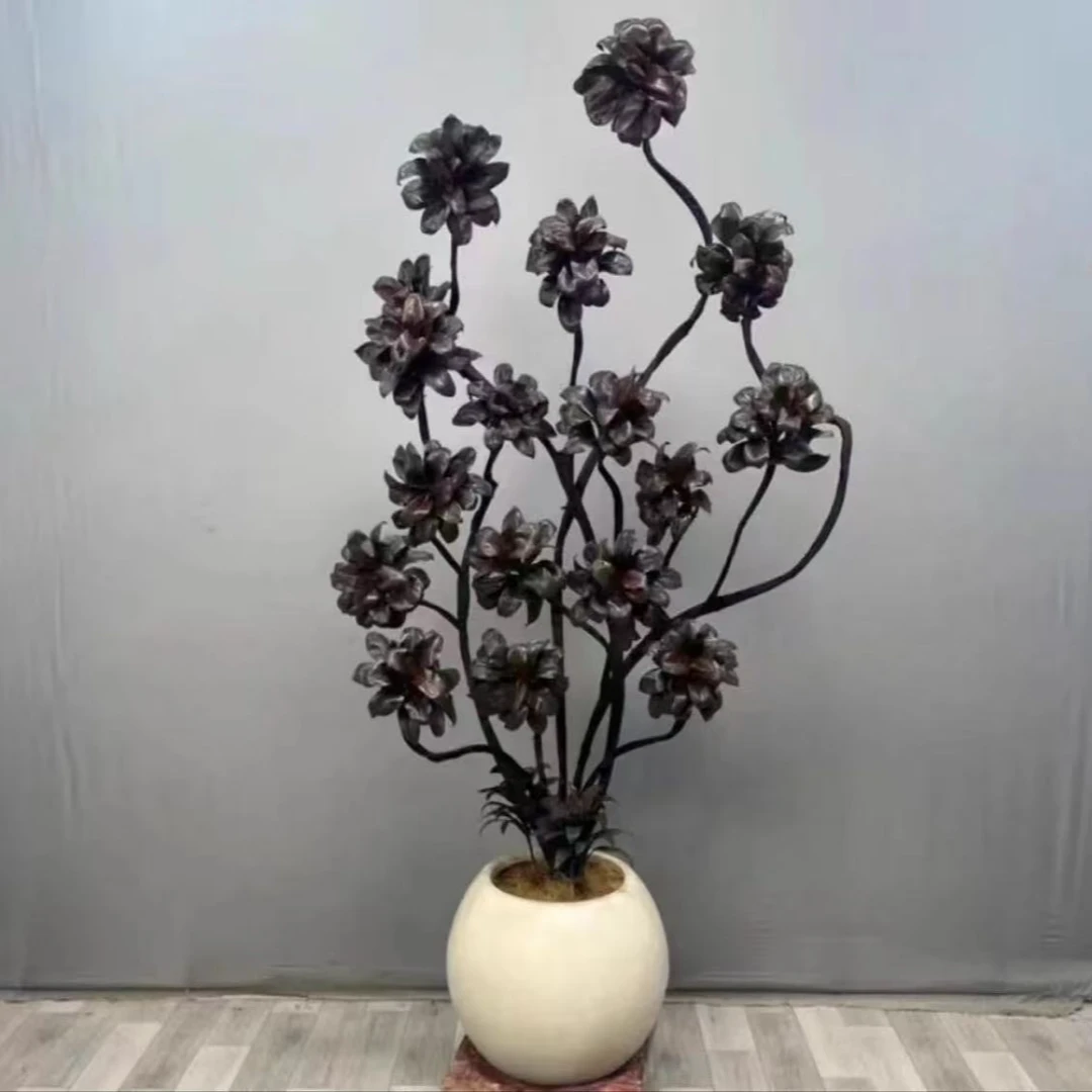 娃娃朱蕉紫气东来绿植客厅大型盆栽老桩黑红叶吸甲醇