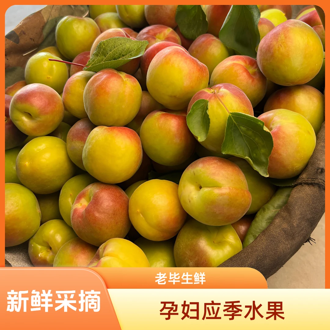 【京东快递】Y陕西贵妃红杏胭脂红杏甜杏仁爆汁孕妇应季水果