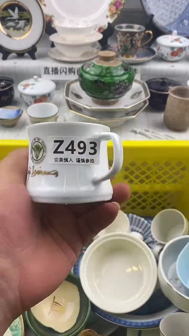 瓷片一**逸       493