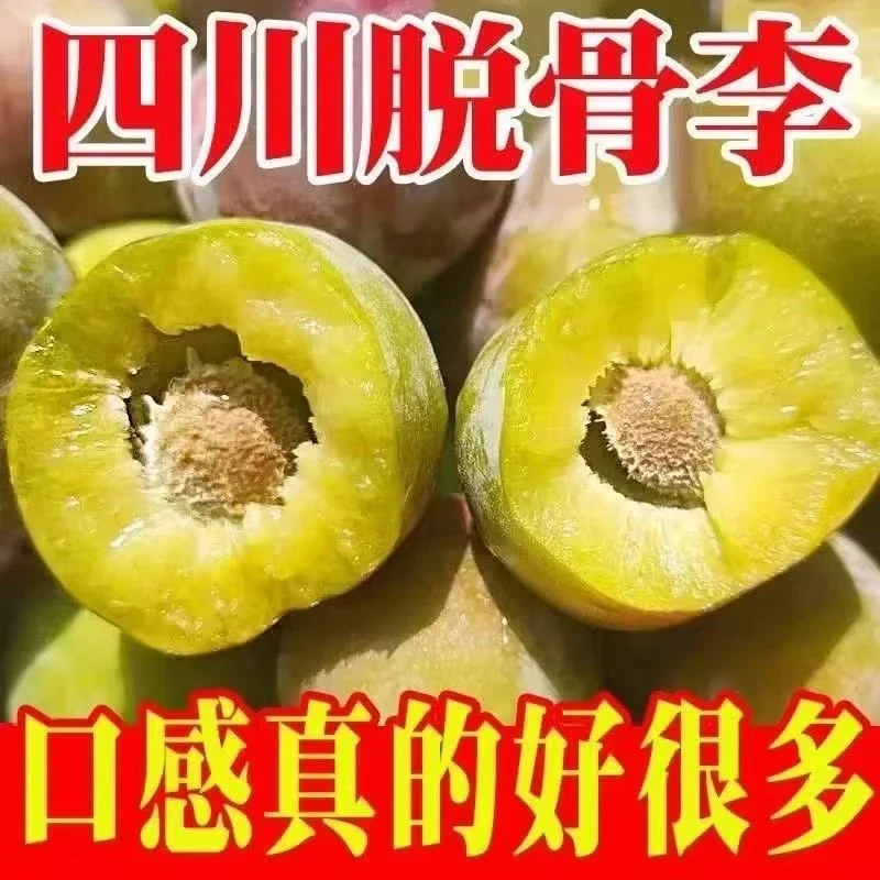 四川高山半边红脱骨李子新鲜采摘现摘现发应季水果酸甜多汁xcy
