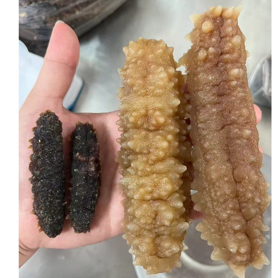 黄金黑刺王参35-39头/55-59头（精选A货）顺丰包邮