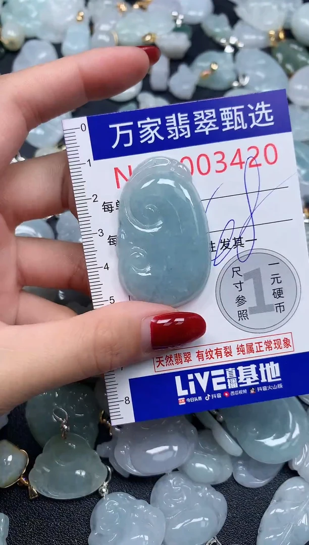 颈饰未镶嵌翡翠3420