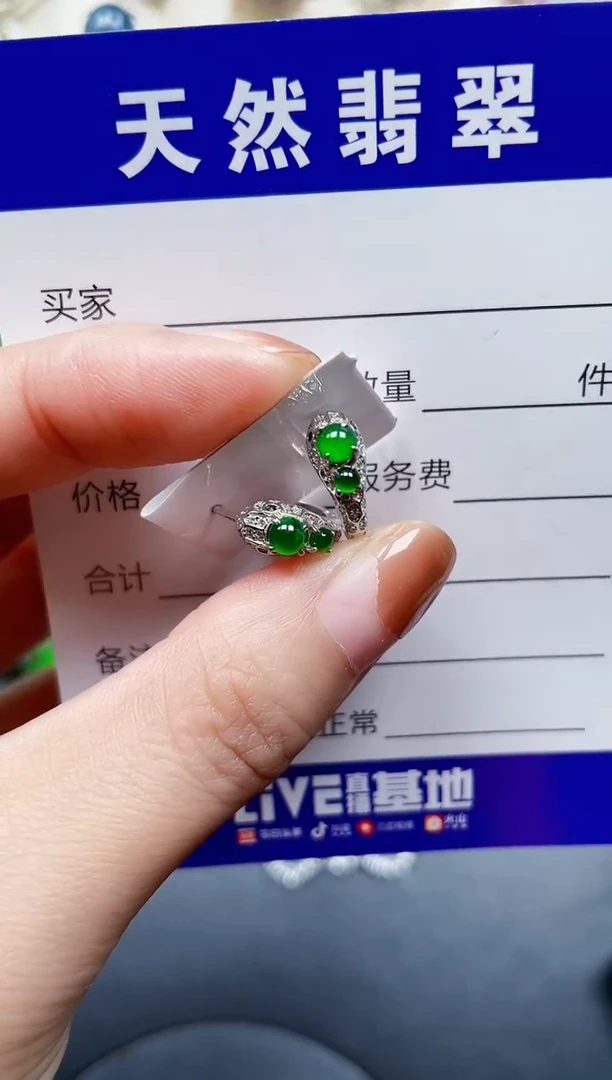 银S925镶嵌翡翠耳饰183