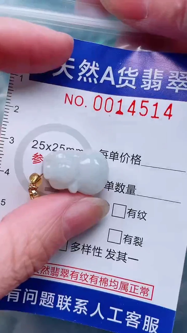 翡翠未镶嵌吊坠(赠链)1