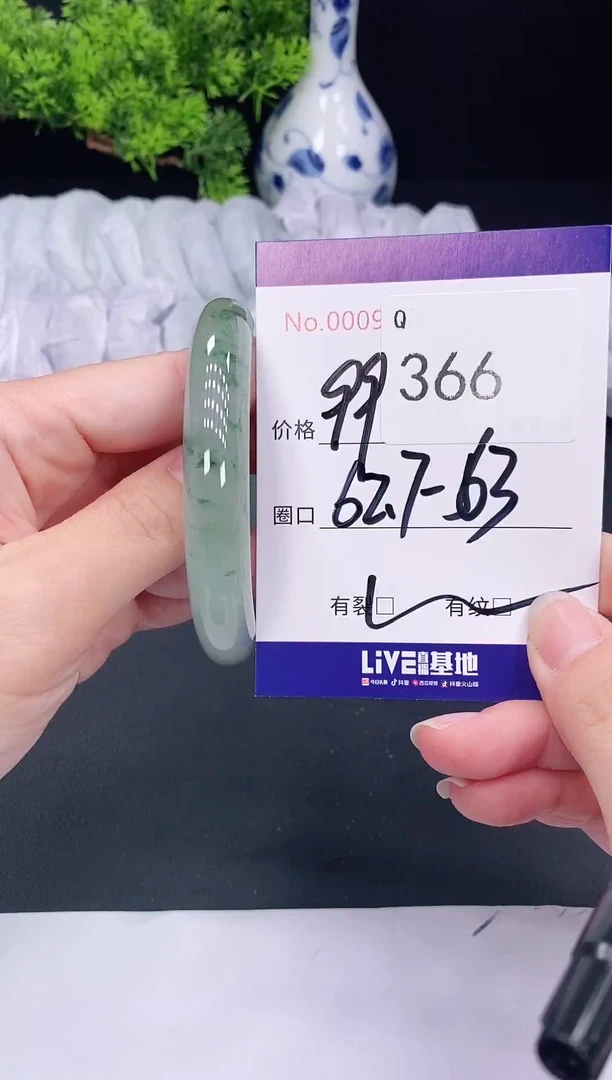 未镶嵌手镯翡翠366