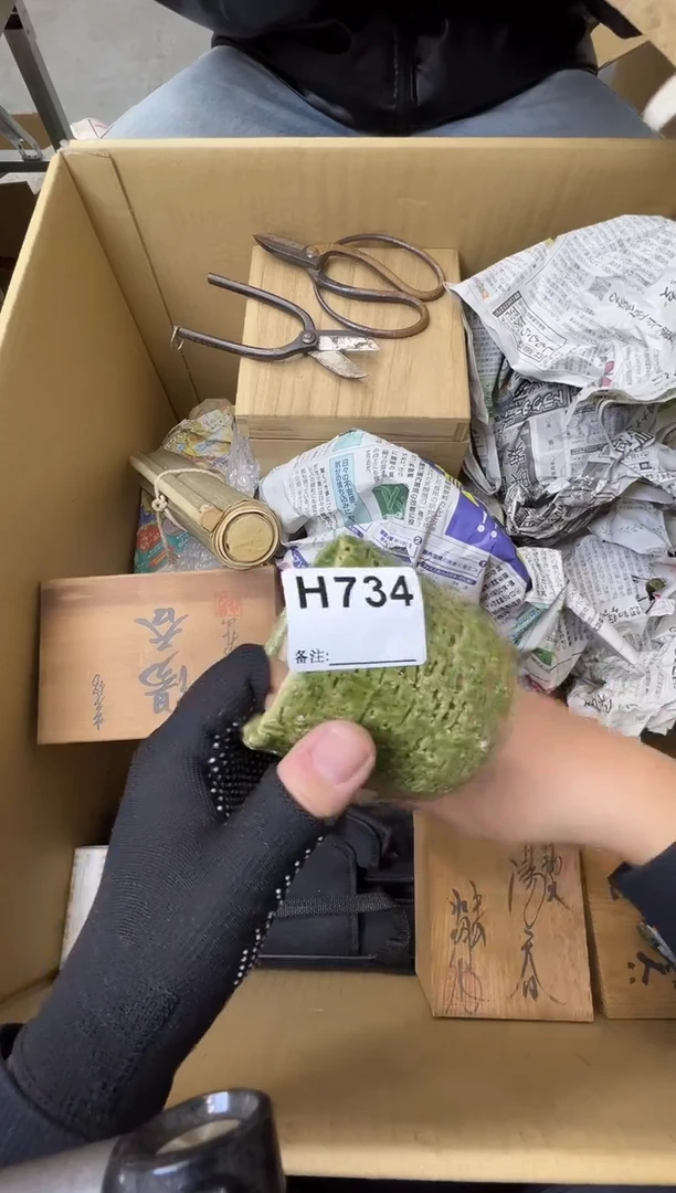 1**5熊大熊精选舶来品二号734