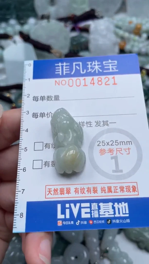颈饰未镶嵌翡翠14821