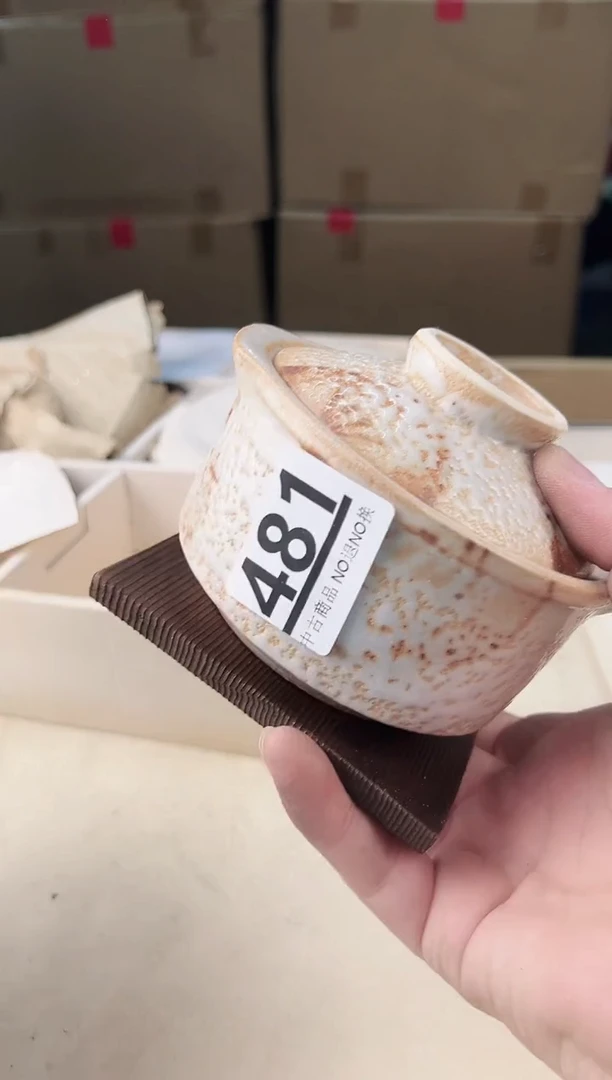 【闪购商品】瓷片481中古产品，默认微瑕，谨慎参拍