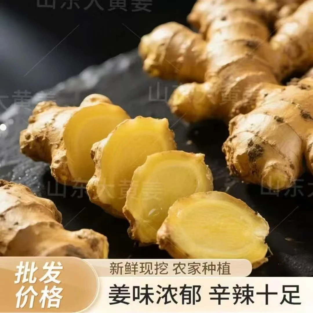 【出口级精选】正宗山东黄姜优质生姜月子姜月子姜带微泥产地直发