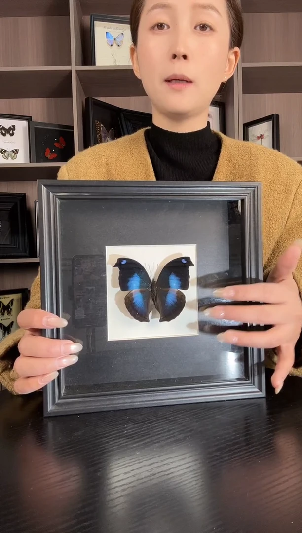 实木竖款爱情鸟蛱蝶（蝴蝶装饰画8寸框）