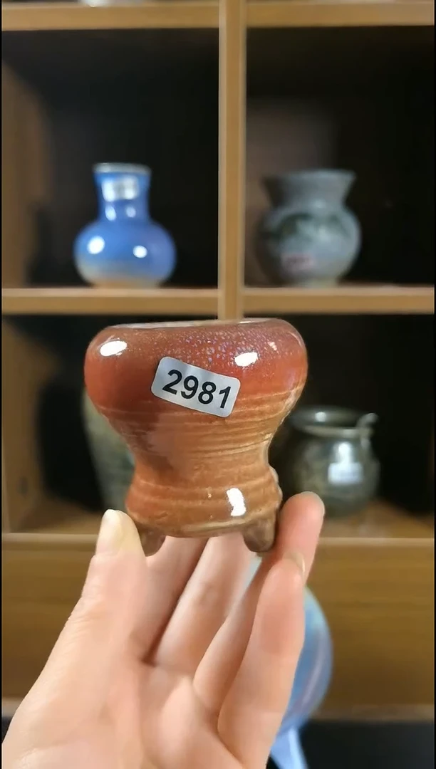 【闪购商品】红陶2981