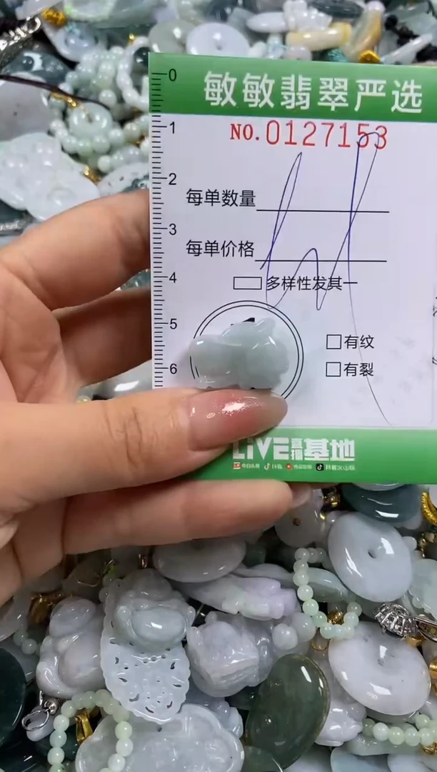 【闪购商品】翡翠颈饰未镶嵌闪购0127153