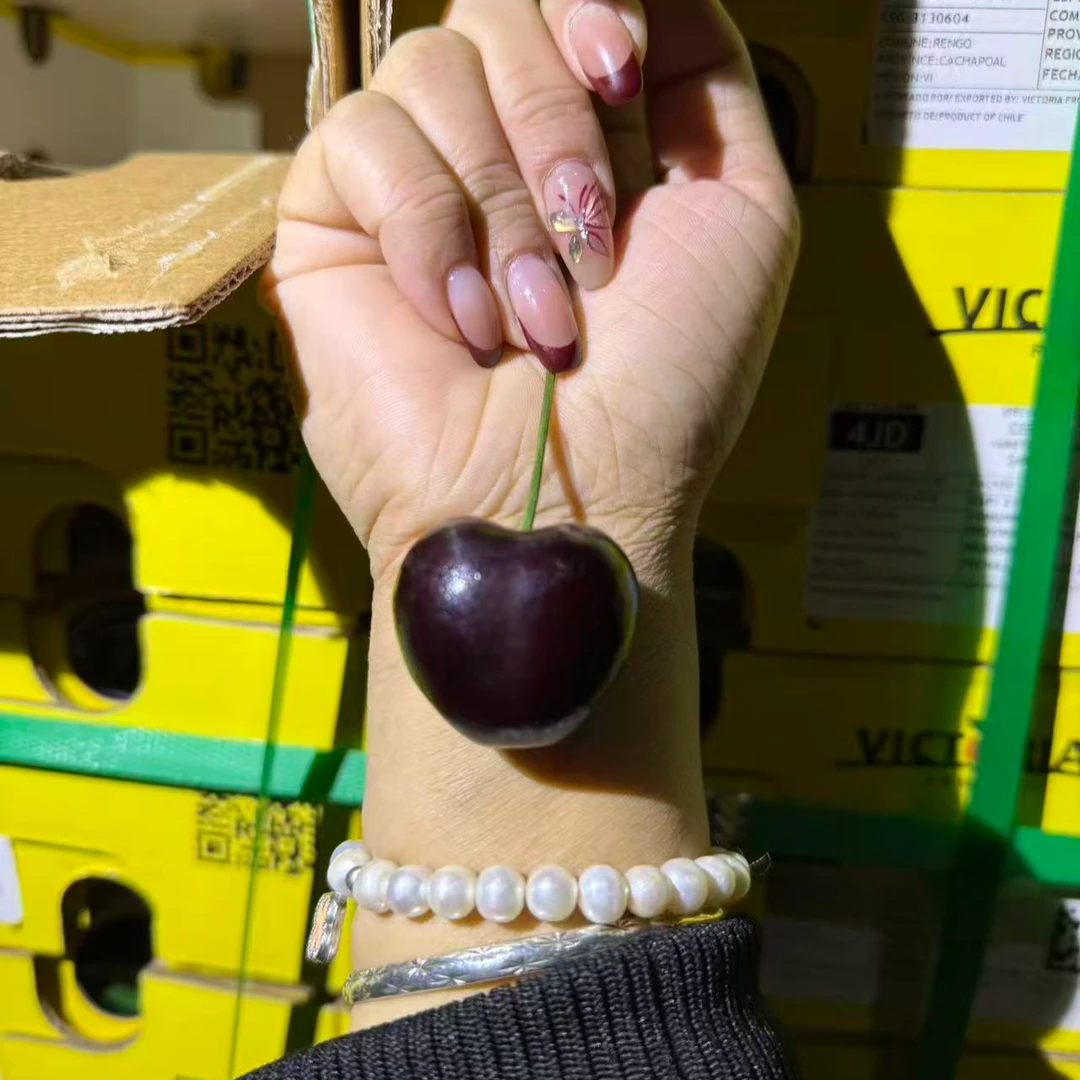 智利海运桑提娜车厘子4JD1KG同城配送智利桑提娜智利