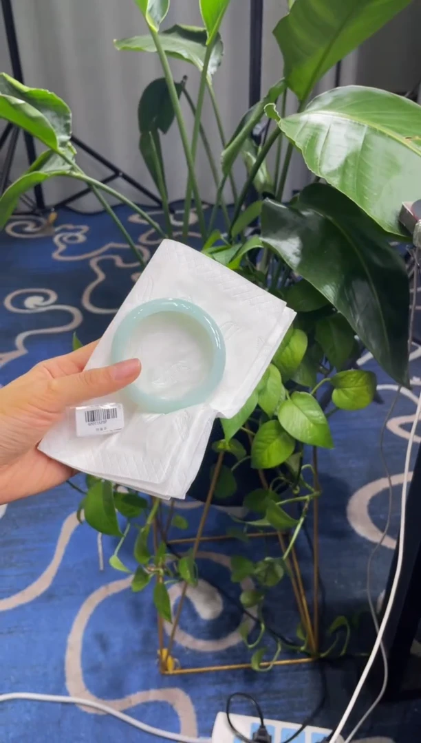 未镶嵌手镯翡翠4892****